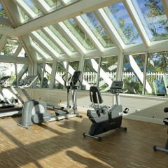 Limak Thermal Boutique Hotel фитнесс-зал фото 2