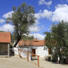 Отель Casa de Santa Cristina Португалия, Марку-ди-Канавезиш - отзывы, цены и фото номеров - забронировать отель Casa de Santa Cristina онлайн фото 6
