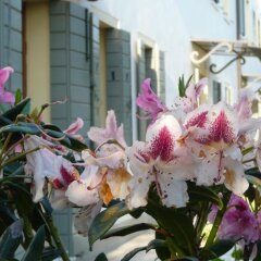 Отель Residenza Serena Италия, Мирано - отзывы, цены и фото номеров - забронировать отель Residenza Serena онлайн помещение для мероприятий фото 2