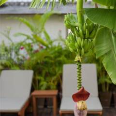 Апартаменты Sabai Sathorn Service Apartment Бангкок фото 4