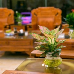 Отель Yuehang Hotel Китай, Чжухай - отзывы, цены и фото номеров - забронировать отель Yuehang Hotel онлайн интерьер отеля