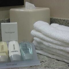 Отель Hilton Garden Inn West 35th Street США, Нью-Йорк - отзывы, цены и фото номеров - забронировать отель Hilton Garden Inn West 35th Street онлайн ванная фото 2