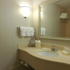Отель Hilton Garden Inn Columbus Airport США, Колумбус - отзывы, цены и фото номеров - забронировать отель Hilton Garden Inn Columbus Airport онлайн ванная фото 2