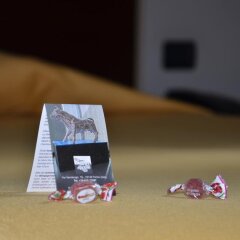 Art Hotel Olympic удобства в номере фото 2