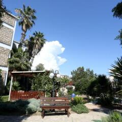 Dionysos Central Hotel детские мероприятия фото 2