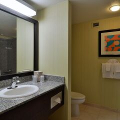 Отель Circus Circus Hotel, Casino & Theme Park США, Лас-Вегас - 4 отзыва об отеле, цены и фото номеров - забронировать отель Circus Circus Hotel, Casino & Theme Park онлайн ванная