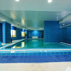 City Tower Hotel с домашними животными