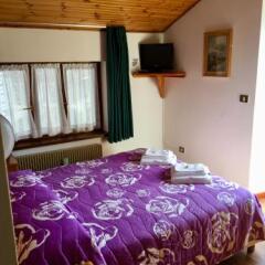 Отель Albergo Meuble Tarandan Форни-ди-Сопра комната для гостей фото 5