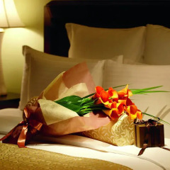 Отель The Ritz Carlton Tokyo Токио в номере фото 2