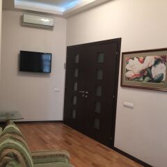 Апартаменты Lakshmi Lux Apartment Arbat Modern Москва удобства в номере