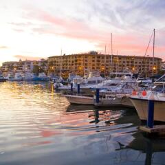 Отель Raintrees Villa Vera Puerto Vallarta фото 3