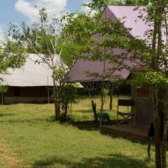 Отель Big Game Camp Yala Шри-Ланка, Катарагама - отзывы, цены и фото номеров - забронировать отель Big Game Camp Yala онлайн фото 8