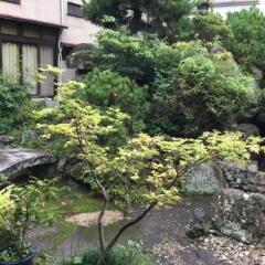 Kaisenkaku Hotel Беппу