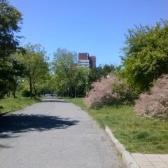 Отель Park Болгария, Бургас - отзывы, цены и фото номеров - забронировать отель Park онлайн фото 3