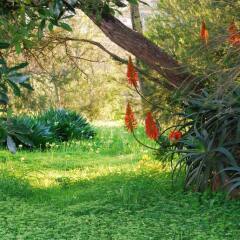 Отель Quinta das Alfazemas фото 2