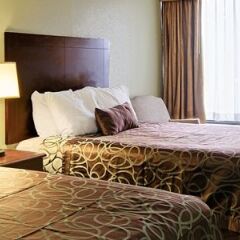Отель Best Western Gastonia с домашними животными