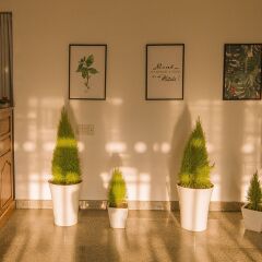 Отель Mint Home Далат помещение для мероприятий