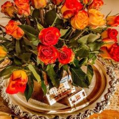 Отель The Villa Rosa Bed and Breakfast в номере фото 2
