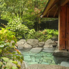 Отель Yufuin Ryokan Baien Хидзи балкон