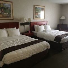 Отель Quality Inn & Suites Albuquerque Downtown - University комната для гостей