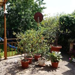 Отель Margarita Hotel Болгария, Варна - отзывы, цены и фото номеров - забронировать отель Margarita Hotel онлайн фото 5