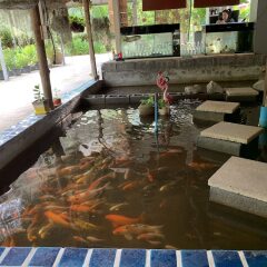 Отель Eddy's Place Самуи бассейн