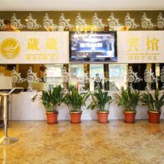 Wei Wei Hotel гостиничный бар