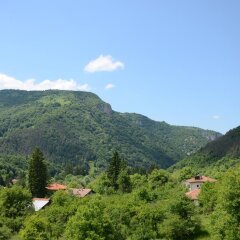 Отель Family Hotel Vejen Болгария, Копривштица - отзывы, цены и фото номеров - забронировать отель Family Hotel Vejen онлайн фото 2