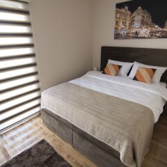 Отель Vracar Resort Сербия, Белград - отзывы, цены и фото номеров - забронировать отель Vracar Resort онлайн комната для гостей фото 2