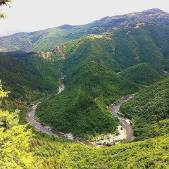 Отель Melanya Mountain Retreat Болгария, Ардино - отзывы, цены и фото номеров - забронировать отель Melanya Mountain Retreat онлайн фото 11