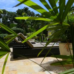 Отель Oasis Resort Ямайка, Негрил - отзывы, цены и фото номеров - забронировать отель Oasis Resort онлайн фото 10