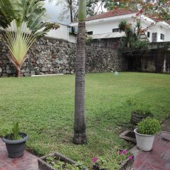Отель Casa Colonial Bed And Breakfast Гондурас, Сан-Педро-Сула - отзывы, цены и фото номеров - забронировать отель Casa Colonial Bed And Breakfast онлайн фото 10