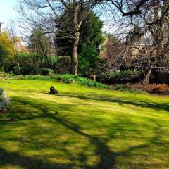 Отель 3 Bedroom Flat In Duddingston Village Эдинбург