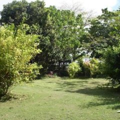 Clifftop Fale in Tamakautoga, Niue from 148$, photos, reviews - zenhotels.com outdoors
