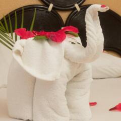 Отель Qualton Club Ixtapa - All Inclusive в номере