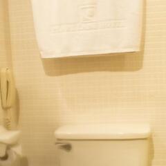 Отель Pearl Lane Hotel Филиппины, Манила - 1 отзыв об отеле, цены и фото номеров - забронировать отель Pearl Lane Hotel онлайн ванная