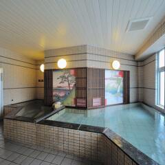 Отель Dormy Inn EXPRESS Meguro Aobadai Hot Spring бассейн фото 2