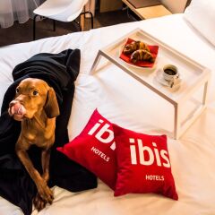Отель ibis Vilnius Centre в номере фото 2