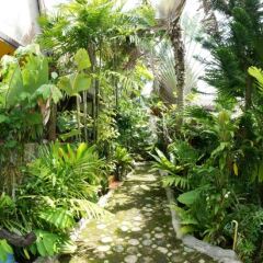 Отель Ruan Mai Sang Ngam Resort фото 9