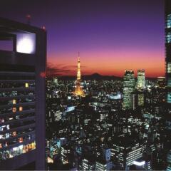 Отель The Royal Park Hotel Tokyo Shiodome Япония, Токио - отзывы, цены и фото номеров - забронировать отель The Royal Park Hotel Tokyo Shiodome онлайн балкон