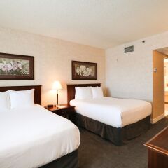 Отель Atrium Inn Vancouver Канада, Ванкувер - отзывы, цены и фото номеров - забронировать отель Atrium Inn Vancouver онлайн комната для гостей фото 2