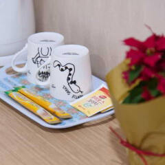 BENIKEA Hotel FLOWER в номере
