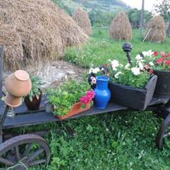 Гостиница Salamandra Village фото 20