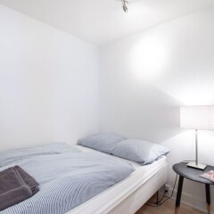 Апартаменты Bright and Modern Apartment With a Rooftop Terrace in the Center of Copenhagen Копенгаген комната для гостей фото 5