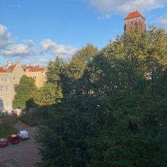 Отель Black Swan House Польша, Гданьск - отзывы, цены и фото номеров - забронировать отель Black Swan House онлайн фото 4
