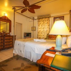 Grenadine House in Kingstown, St. Vincent and the Grenadines from 167$, photos, reviews - zenhotels.com room amenities photo 2