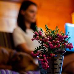 Petnehazy Club Hotel Superior интерьер отеля фото 3