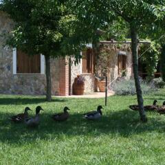Отель Azienda Agrituristica Vivi Natura Италия, Помпеи - отзывы, цены и фото номеров - забронировать отель Azienda Agrituristica Vivi Natura онлайн фото 10