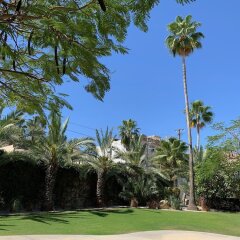 Отель Los Milagros Hotel Мексика, Кабо-Сан-Лукас - отзывы, цены и фото номеров - забронировать отель Los Milagros Hotel онлайн фото 17