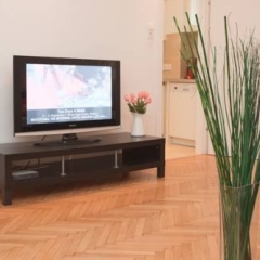 Отель Down Town Vienna удобства в номере